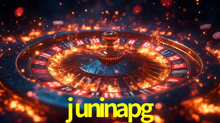 juninapg App Interface